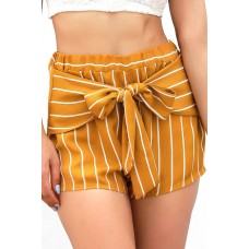 Orange Stripe Knotted Casual Shorts